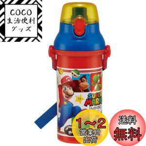 yzXP[^[(Skater) qp vX`bN  480ml vbVJ R qɗD y RۉH { X[p[}I 23 j̎q PSB5SANAG
