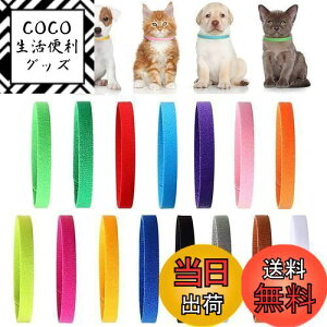 yzYINKE qL qp 15FZbg ybgpʎ V ybg _̑f }WbNe[vt _uTCh ߉\ ȒPE q