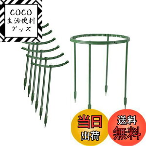 yzLIKENNY |x Ax Ԃ XChx T` 25cm 10{gZbg ϋv ̑ g₷ A AT|[g~͗p Ԏx K[fjOpx