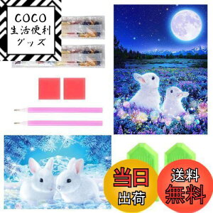 yzTRX _ChA[g Lbg _Ch̊G 2Zbg ꂢ  Sʓ\t 5D _ChA[g S l̎q DIY |Lbg Ƃ̕ǂ̑iET