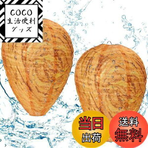 yz_~[n`̑ 2Zbg Ȋ悯 I 쏜 ͑ꂽn`̑ z[ x_ O K[f ʎ AEghAp (CG[?z)