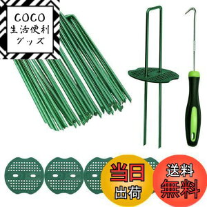 yzusY Ίەt 50{Zbg Niesporek 15cm hV[g Œp lH s ϋvU^s }`15cmtbN^_Ɨplbgi50{s+50Ίہj