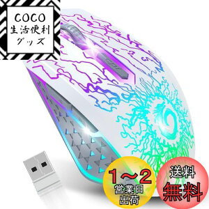 yzVersionTECH. CX}EX 2.4GHz }EX USB[d 7F RGBCg x 3iDPI߉ 6{^ Q[}EX y PC bvgbvȂǑΉ zCgmsAn