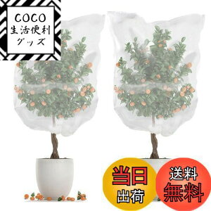 yzSensaBliss hlbg AیJo[ hlbg 2 bVВ ʋC   lbg  悯Jo[ ƒ؉ ؍͔| Ԓd ʎ v^[ Ap