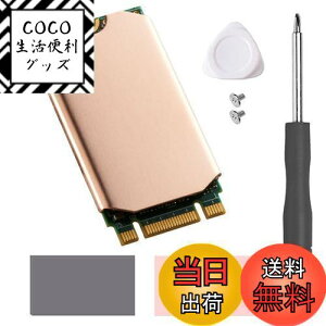 yzHaojiaho M.2 2242 NVME SSDp q[gVN  Mpbht Nvme2242 \bh Xe[g hCu WG[^[ CLbg