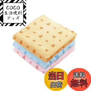 yzKosugizen oX^I poX^I N} 3Fe1 60×120cm ₷^Cv ܂Ƃ߂Ă 3Zbg ST-5808-3