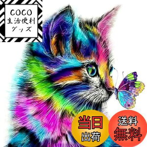 yz5d_ChA[g Lƒ 5D _Chh UCNA[g _ChyCeBO Lbg r[YG Sʓ\t^Cv r[YA[g UCNr[Y |pi 