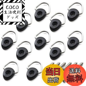 yzySunSlowz [eBeBtbN ׊|tbN t[h N-VAN M6×25mm prXt 12Zbg ėp  tbN (ی^)