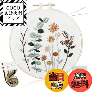 yzALLMIRA hJLbg S Zbg イLbg hイ NXXeb`  DIYhJH hJ g 20CM1{ hJ hJpz1 hJj2{ pt ( O[ 1)