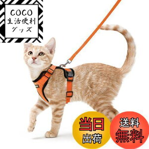 yzRabbitgoo L n[lX [h Zbg Ȃ Lpn[lX \tg y グ TCY߉ 锽 ʋCbV Pݖh~ U pn[lX L̓ 