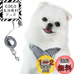 yzMiru pochi(~|b`)  L n[lX ^ ^ q [h Zbg  \tg ybg Ȃ ₷ т S y  U h~ t  CǂɗD