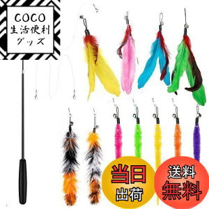 yz14 _Zbg L ColiChili L炵 VR Ĥ pH11 _t pނ莅2 ԂԂ ybgObY ˂pi