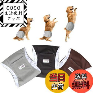 yzLuxja p}i[xg j̎q bV h Lk 3_Zbg }[LO R炵 IVbR΍ o  p(L,+O[+R[q[F)