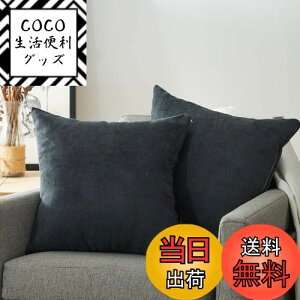 yzTopfinel NbVJo[ lۂ 45×45cm k  Ȗ n \t@w Jo[ zcJo[ ZO[ 2ZbgiS10Fj