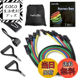 yzTheFitLife g[jO`[u `[u g[jO ؃g`[u (/VF/gF//nF)