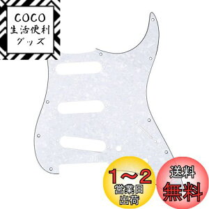yzMusiclily 11 SSS XggsbNK[hFender USA/LVRX^_[hSTXggLX^[GLM^[pA4PzCgp[