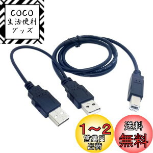 yzcablecc fAUSB 2.0IXWBIXYP[u 80cm v^[&XLi[&OtHDDP[uCCp