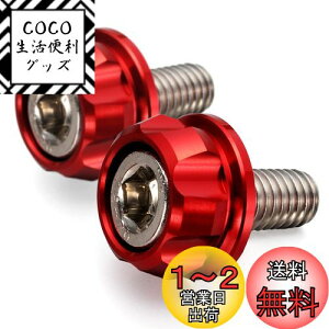 yzfCgi(Daytona) PREMIUM ZONE(v~A][) oCNp io[v[g {g M6×15mm z_[Zbg 2 bh 91945