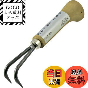 yzߗ^(KONYO) ܘY F 2{