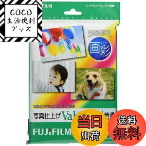 【送料無料】写真用紙 画彩 光沢 2L 55枚 WP2L55VA