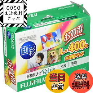 【送料無料】写真用紙 画彩 光沢 L 400枚 WPL400VA