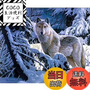 yzDIYNXXeb`Lbg_ChG5DhLbgA~̐TWOWDECORthDIY_ChA[gyCgG (T)