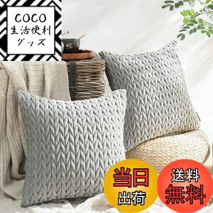 yzPhantoscope NbVJo[ xxbgv[c k 2  e͐ LeBO \t@w   n2WAY O[ 45×45cm