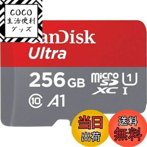 【送料無料】SanDisk SDSQUA4-256G-GN6MN 海外リテール アダプター無