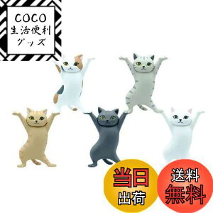 yzMRZJ JKRLyz_[lR̃y S5Zbggyz_[ (5PCS)