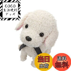 yzZKtFCu (SEGA FAVE) RR  N[