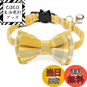 yzL t L̎  ybg  ѕt `FbN \ EȒP y S { 킢 ȃ_ ybgpANZT[ ꒅ j