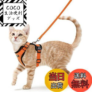 yzRabbitgoo L n[lX [h Zbg Lp ^ ^ Ȃ \tg y グ TCY߉ 锽 ʋCbV Pݖh~ U Lpn[l