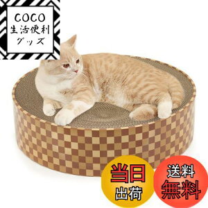 yzSONGWAY ^L ߂Ƃ 傫 41cmی` T[N ܖ ۂL̒܌ ˂܂Ƃxbh x _{[