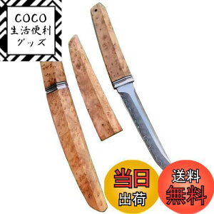 yzIrai Utaki AEghAiCt ToCoiCt | nn125mm ؏t tBbVO Lv R n s؂ꖡ ȒP V[XiCt