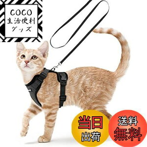 yzRabbitgoo L n[lX [h Zbg ^ Lp Ȃ ́[˂ \tg y グ TCY߉ lR U R 锽 ʋCbV Pݖh~ 