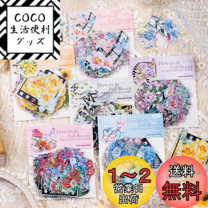 yzAlideco120 V[ t[NV[ R[W f y[p[ fގ [X[gsAXebJ[g ԁAAA ؍̏̎q COV[ Cpm[gfށAL