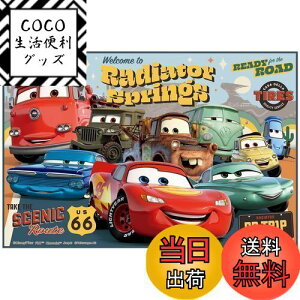 yzXP[^[(Skater) qp W[V[g  STCY 60×90cmTCY fBYj[ J[Y 24 VS1-A