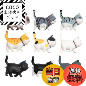 yzKALOLINNA tBMA L qLߋZbg 9Zbg LObY ~jgC  킢 K[fI[ig ԓ CeA  G LL ap[e