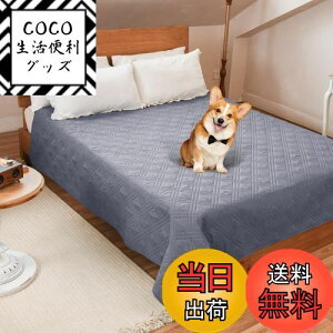 yzLOOBANI hJo[ xbh hV[c VO _u xbh  Lp xbhJo[ h \t@[ hV[c Rh~ ~ ƋveN^[ ۂƐ􂦂 ݑϐ 