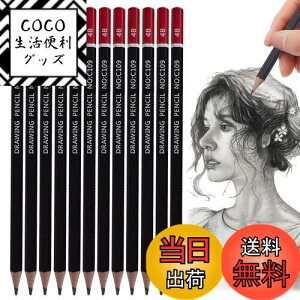 yzPAVIKE M 4b ₷ 12{Zbg c dMʗpM fbTpMvŐc܂ɂ Zp G XPb` ` wƂ̂߂̃A[eBXg