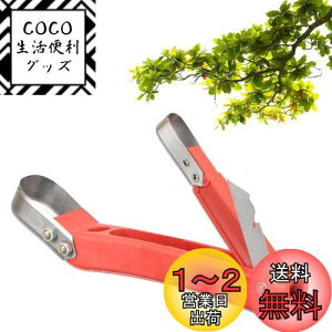 yzPAVIKE 甍c[ |piCt @\XN[p[ ܂肽݃fUC eJb^[wbh |ږ؃iCt 甍iCt e r ǍSȐ𑣐i
