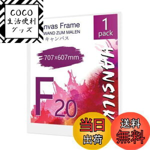 【送料無料】HANSILK キャンバス 張りキャンバス キャンバスボード F20 707mmx607mm 【1枚】油絵 画材 画布 油絵の具 ギャラリー用 油彩・アクリル兼用 化繊綿製 オイル漏れ防止 厚手 中目 子供 初