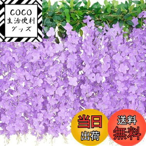 yzLakymisy ̉ 2{  K[h  ӂ̂͂ 10}/{  VN t̏ 뉀 ԗ ̓ ʐ^Be Ǌ| ԏ Xܑp  p[eB[