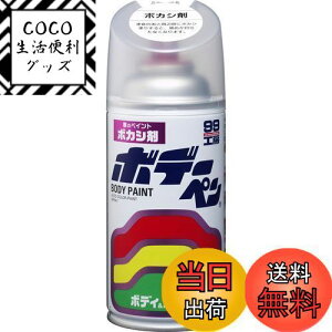 yz\tg99(SOFT99) 99H[ CyCg {f[y {JV 300ml ԃ{fBAop[AA؍ 08004