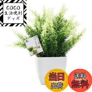 yzTOSSOW lHϗtA  tFCNO[ tFCNϗtA l CeA v[g Ηt