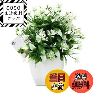 yzTOSSOW lHϗtA  tFCNO[ tFCNϗtA l CeA v[g ΂Ɣt