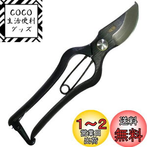yzߗ^(KONYO) { ł  炩Ȑ؂ƊmȐ؂ꖡ ̂Â̊XuVOsv̏ɂ`Zp 20.5cm