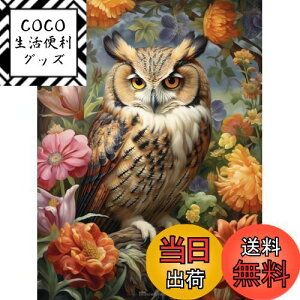 yzReofrey _Ch̊G _ChA[g NXXeb` LbgtNE, Lbg  Sʓ\t^Cv r[YA DIY |Lbgz[ Xg CXg