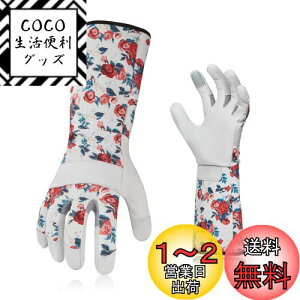 yz[Vgo...] fB[X K[fO[u  rJo[ gQh~ rv| p O  Ɨp (Size L,zCg,GA9658)