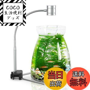 yzEAYHM  CgƐA琬Cg X^h @\ J[ LED ^ANAE Cg